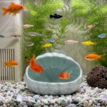 A blue ceramic shell-shaped hideout for an aquarium, designed for betta fish and other small aquatic creatures.