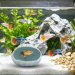 A blue ceramic shell-shaped hideout for an aquarium, designed for betta fish and other small aquatic creatures.