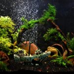 A detailed, multicolor Raeasily shipwreck resin aquarium ornament depicting a sunken vessel amidst aquatic plants, adding cha
