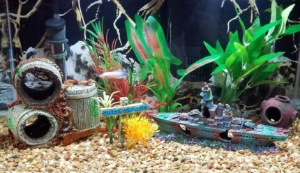 A detailed blue resin sunken ship decoration positioned within a vibrant aquarium, surrounded by green aquatic plants.