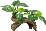 A Type-C Smoothedo-Pets driftwood cave aquarium decoration, showing its intricate texture and round shape suitable for fish t