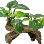 A Type-C Smoothedo-Pets driftwood cave aquarium decoration, showing its intricate texture and round shape suitable for fish t