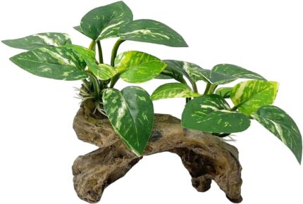 A Type-C Smoothedo-Pets driftwood cave aquarium decoration, showing its intricate texture and round shape suitable for fish t