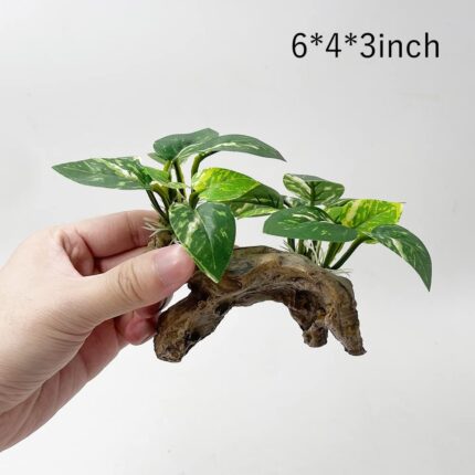 A Type-C Smoothedo-Pets driftwood cave aquarium decoration, showing its intricate texture and round shape suitable for fish t