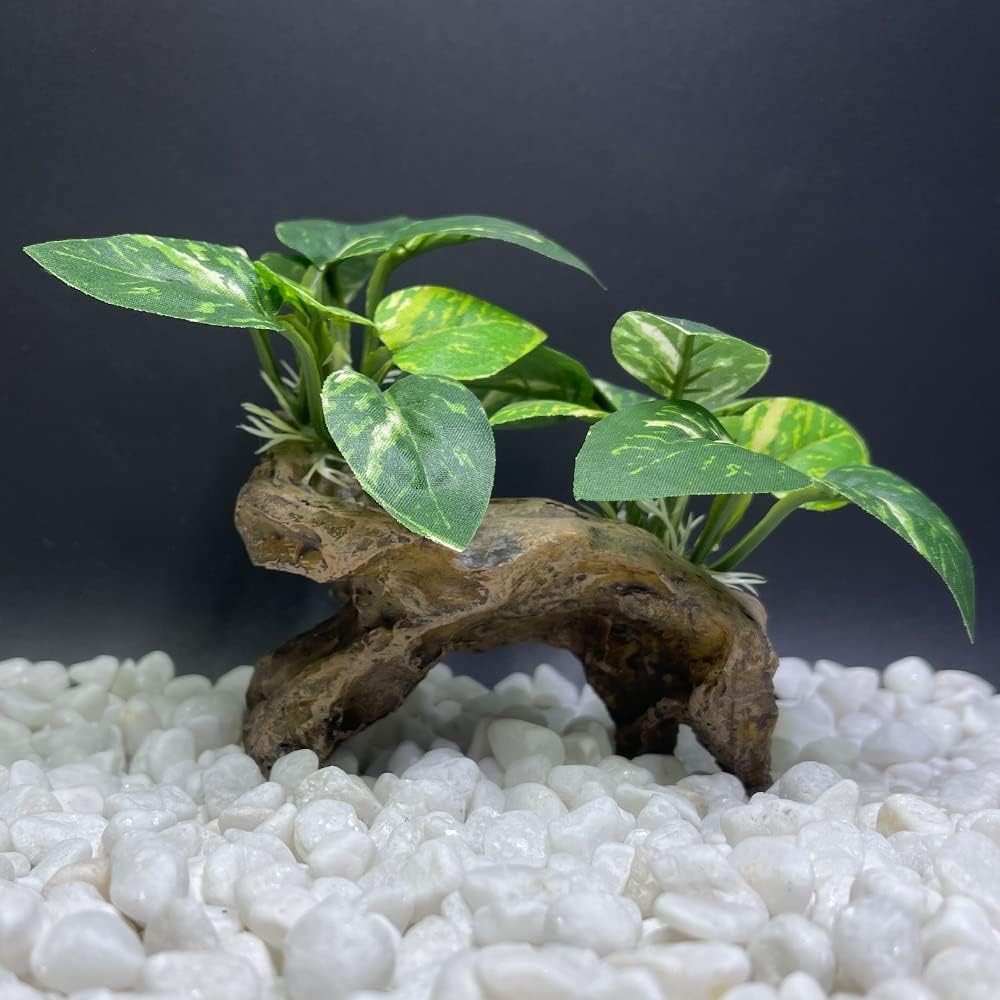 A Type-C Smoothedo-Pets driftwood cave aquarium decoration, showing its intricate texture and round shape suitable for fish t