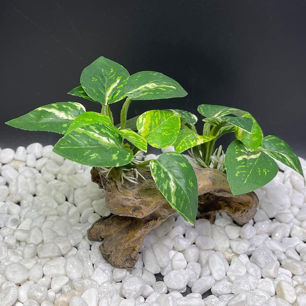 A Type-C Smoothedo-Pets driftwood cave aquarium decoration, showing its intricate texture and round shape suitable for fish t