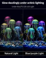 Six colorful silicone jellyfish ornaments in blue, purple, green, orange, pink, and yellow floating in a fish tank under blue