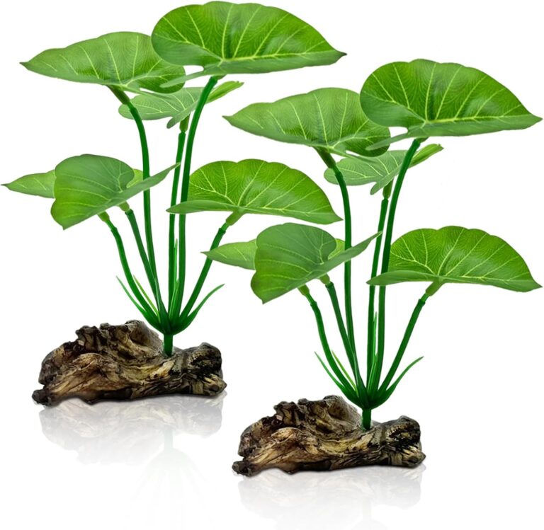 Artificial Plants at Pacific Aquarium & Plant Inc.